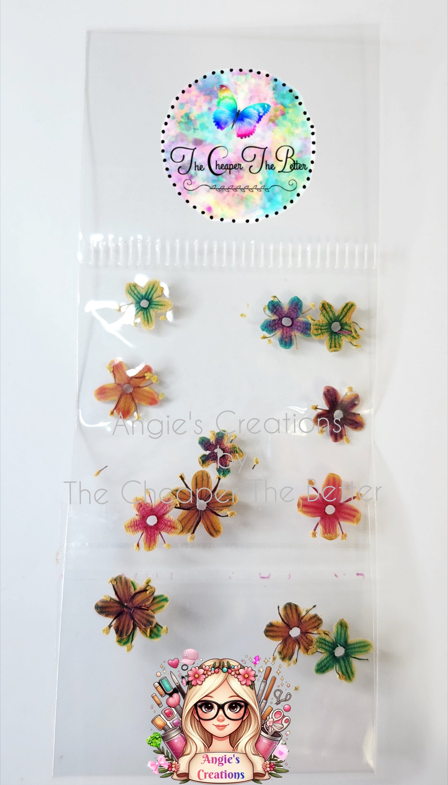 Natural Mix Dried Flowers #5