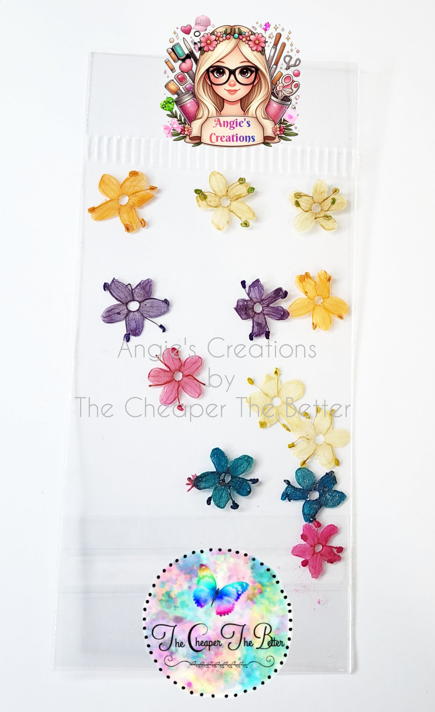 Natural Dried Solid Mix Colors Flowers #1