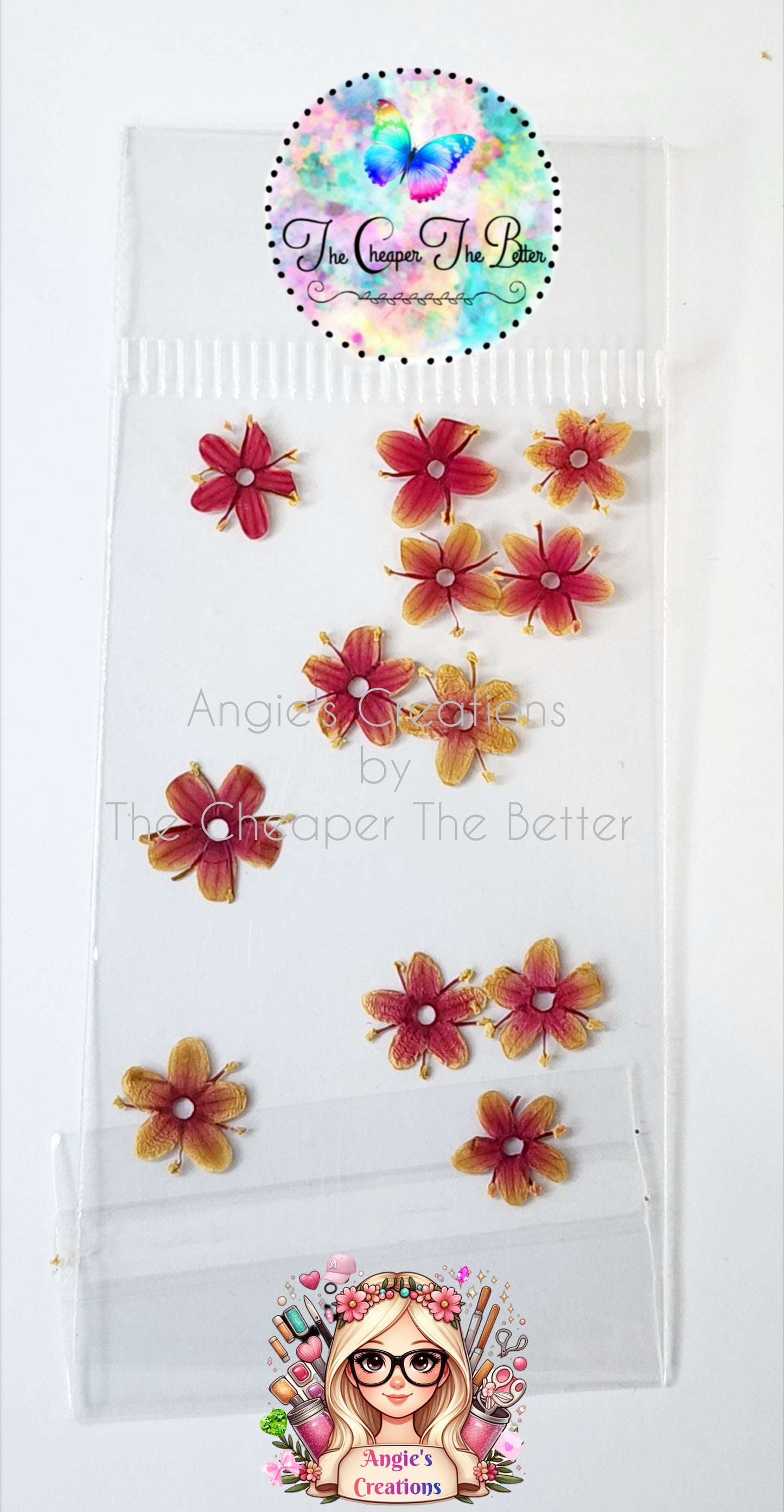 Natural Dried Flowers #4