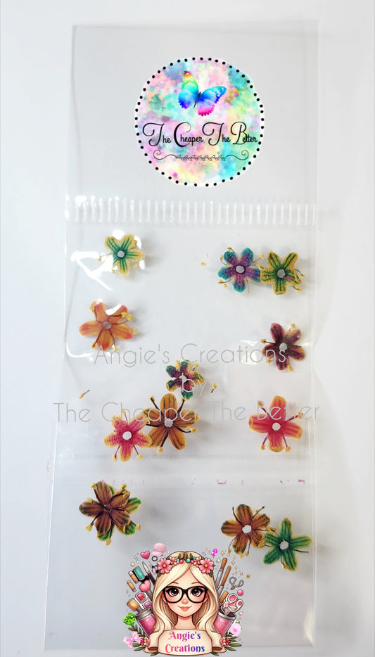 Natural Mix Dried Flowers #5