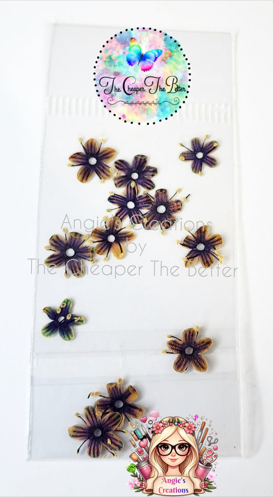 Natural Dried Flowers #6